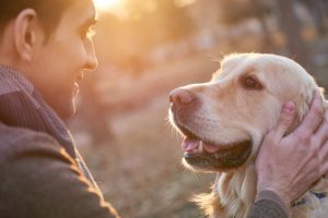 Walking with retriever